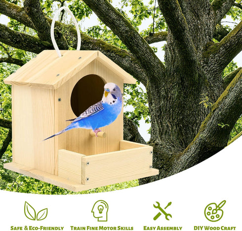 LotFancy DIY Bird House Kit: Wooden Birdhouse Arts and Crafts Painting Kit for Kids Ages 5+, Includes Paints