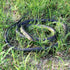 3-Pack Ultra-Realistic Rubber Snakes for Halloween Decorations, Large Fake Black Mamba Toy