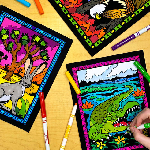 Pack 18 Super of Fuzzy Velvet Coloring Posters (National Parks Edition) - Great for Family Time, Arts & Crafts, Travel