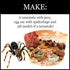 WILD ENVIRONMENTAL SCIENCE Extreme Spiders of the World - Create and Customize Models for Ages 6+