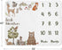 Set Sweet Jojo Designs Woodland Forest Animals Boy Girl Gender Neutral Unisex Baby Milestone Blanket Newborn Monthly