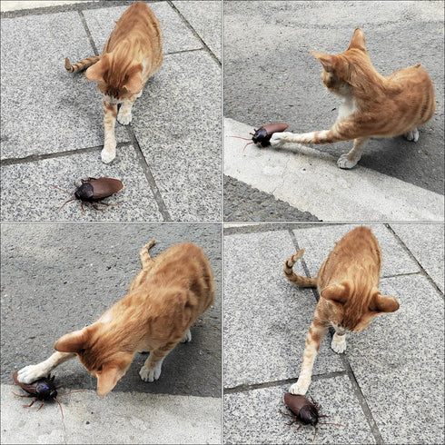 Tipmant RC Cockroach Remote Control Car, Realistic Big Insect Toy with Glowing Eyes for Kids