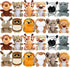 Arrozon 24 Pcs Small Stuffed Animals Bulk, Mini Stuffed Animal 4.5 Inch
