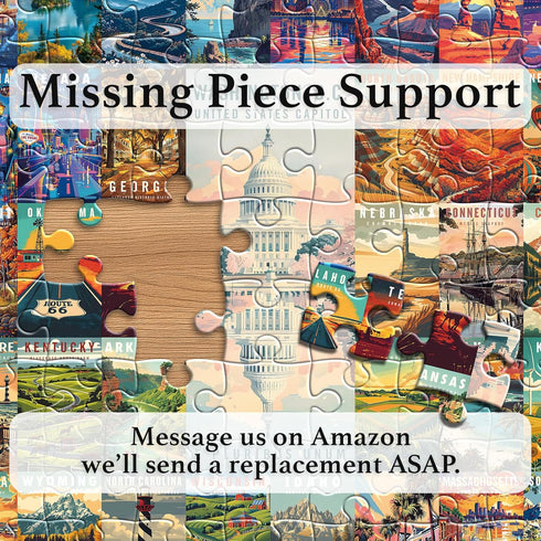 pickinjoy 50 1000 1000 States & Washington, D.C. Jigsaw Puzzles for Adults Pieces, United States Piece Puzzle, Travel