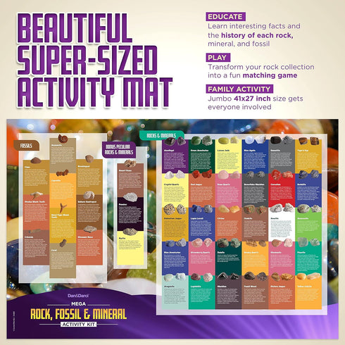 250+ 2 Lbs. 6+ Dan&Darci Rock Collection for Kids - Includes Bulk Rocks, Gemstones & Crystals + Genuine Fossils