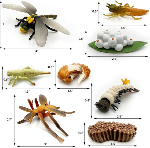 Gemini & Genius Life Cycle of Mosquito and Dragonfly Figurines, Insect Growth Diary Action Figures, Learning Gifts