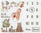Sweet Jojo Designs Woodland Forest Animals Boy Girl Gender Neutral Unisex Baby