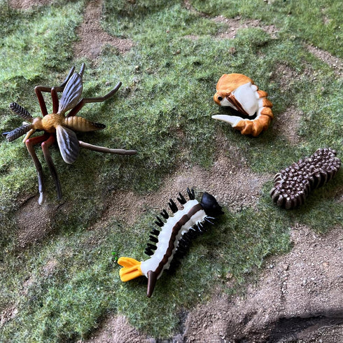 Gemini & Genius Life Cycle of Mosquito and Dragonfly Figurines, Insect Growth Diary Action Figures, Learning Gifts