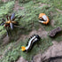 Gemini & Genius Life Cycle of Mosquito and Dragonfly Figurines, Insect Growth Diary Action Figures, Learning Gifts