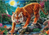 Ceaco - Wild - Night Tigers - 1000 Piece Jigsaw Puzzle