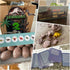 Dinosaur Eggs Dig Kit - Break Open 12 Easter Dino Eggs with 12 Surprise Dinosaurs - Science STEM Toys for Kids