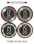 Pregnancy Weekly Belly Growth Stickers - Large Set of 36, Maternity Keepsake Photo Prop