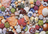 Colorful Seashell Puzzle for Adult 1000 Piece, Ocean Beach Puzzle 1000 Pieces for Adult, Marine Jigsaw Puzzles Hawaii 1000 Piece for Adult