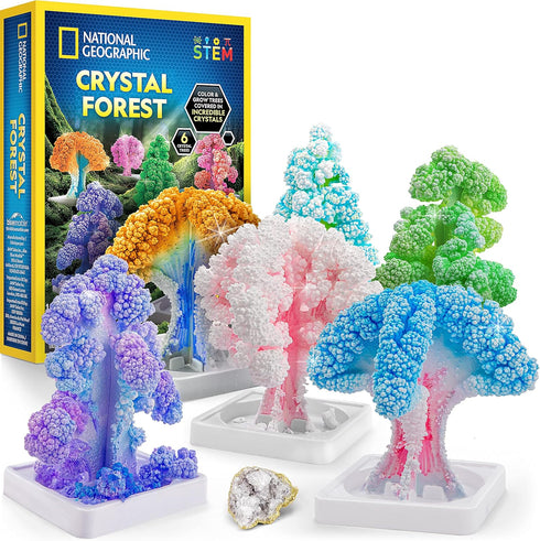Kids Crystal Growing Kit, Grow 6 Crystal Trees in 6 Hours, Educational STEM Craft Kit with Art Supplies