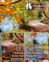 1000 8 Piece Puzzle for Adults - Golden Forest Trail Beside Quiet Lake in Autumn, Gift-Ready Box, Letters on Back