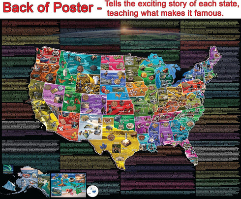 1000-Piece Playjigs USA Map Puzzle: Vibrant Journey Across America with Colorful State Details