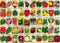 Vintage Plant Puzzle 1000 Pieces for Adults - Heirloom Seeds Flower Jigsaw Puzzles
