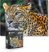 QuizQuirk 1000 Piece Puzzle - Bold Leopard Jigsaw for Adults/Teens (Puzzle Saver Kit Included)