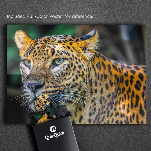 QuizQuirk 1000 Piece Puzzle - Bold Leopard Jigsaw for Adults/Teens (Puzzle Saver Kit Included)