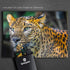 QuizQuirk 1000 Piece Puzzle - Bold Leopard Jigsaw for Adults/Teens (Puzzle Saver Kit Included)