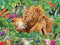 Ceaco Harmony Lion Family, 550 Piece Jigsaw Puzzle