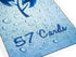 57 Cards 10th Plastic Bird Cards Anniversary Deck. Durable, Waterproof, & No Fraying.