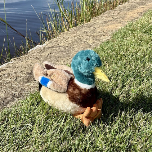 12 inches The Petting Zoo Duck Stuffed Animal Plushie, Gifts for Kids, Wild Onez Wildlife Animals, Duck Plush Toy