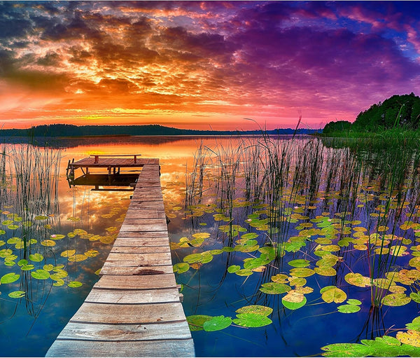 1000 Piece Jigsaw Puzzle for Adults and Families, 20x30 inch HD Quality Landscape Photo Puzzle, Sturdy 2mm Pieces,