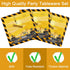 96 Set 24 Pcs Construction Birthday Party Plates Napkins Forks Supplies Tableware Disposable Table Dump Truck Theme